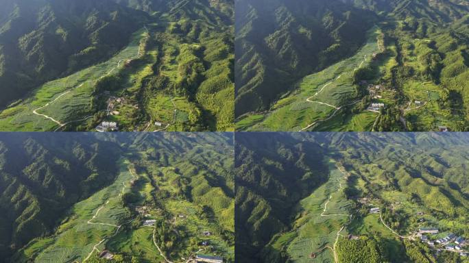 建宁谢马苏荷花梯田航拍4K村落云海