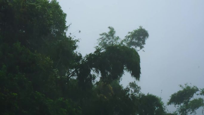 台风天气下雨雨景