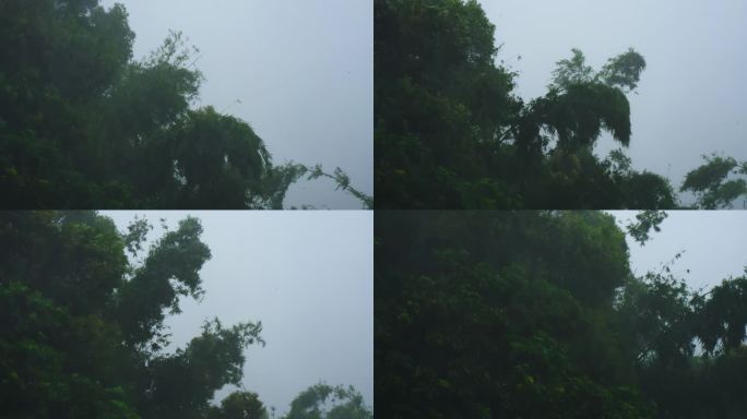 台风天气下雨雨景