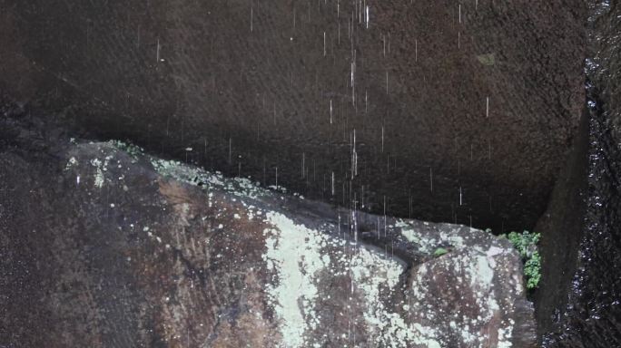 【4K】空镜山林顽强山石苔藓滴水雨滴