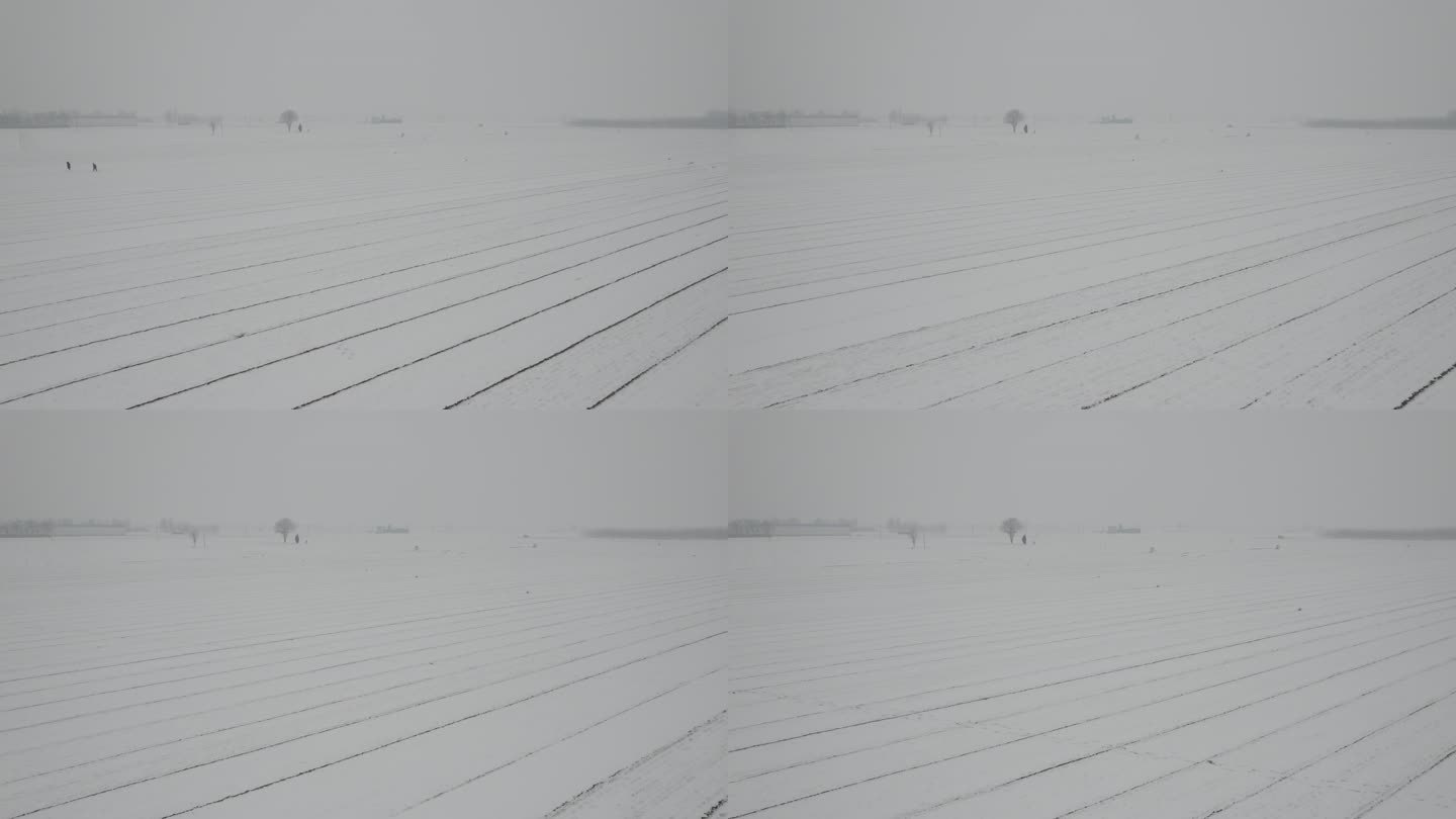 航拍大雪覆盖的麦田丨Dlog丨原始素材
