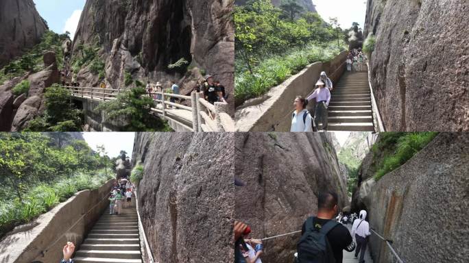 登黄山爬黄山