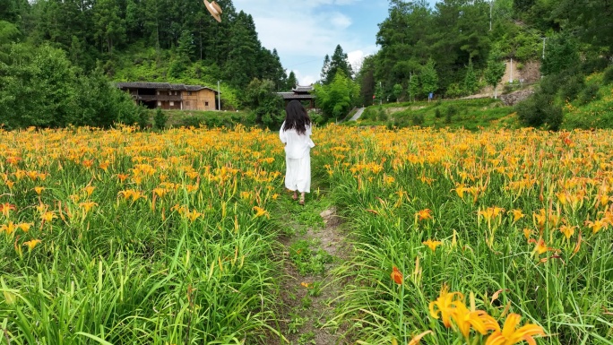 萱草花园里奔跑美少女采摘乡村振兴新农村