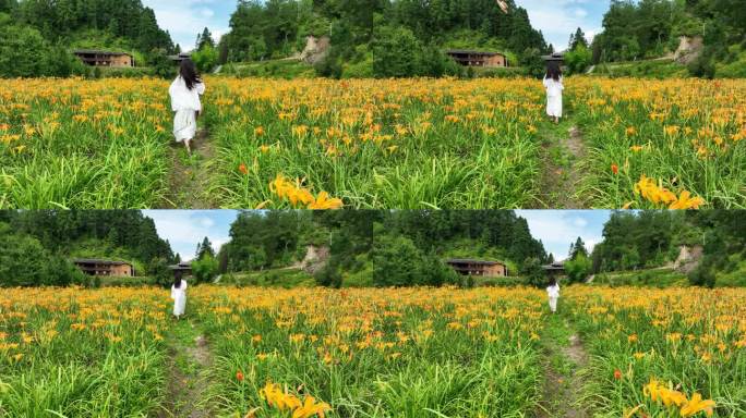 萱草花园里奔跑美少女采摘乡村振兴新农村