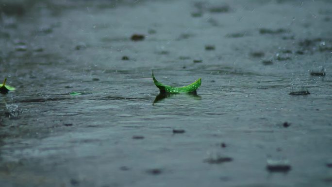 下雨 雨水 下雨空镜