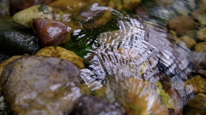 水流溪流升格白酒软水河岸夏天