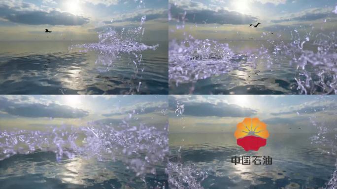 大海水花跳跃海鸟logo展示（无插件）