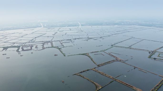 清新生态环境大纵湖景