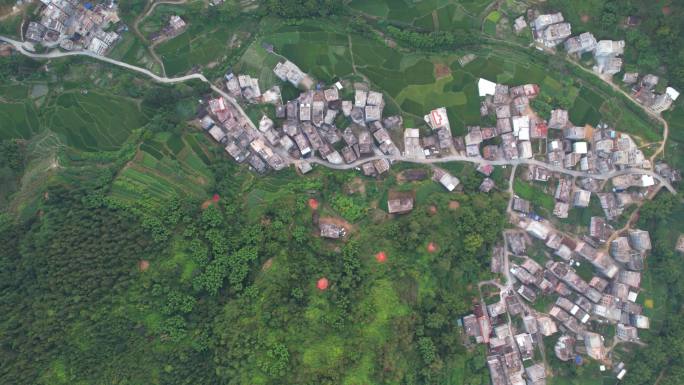 新农村大山田野森林日出