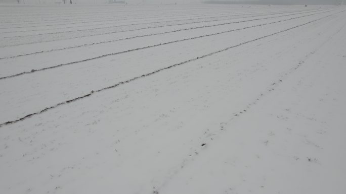 航拍冬季白雪麦田丨Dlog丨原始素材