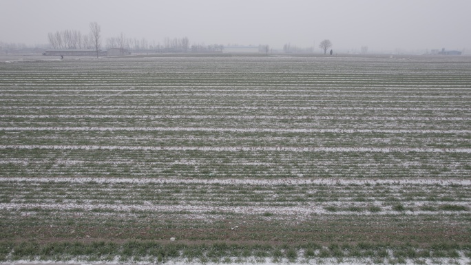 航拍麦田田野雪景丨Dlog丨原始素材