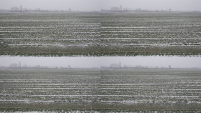 航拍麦田田野雪景丨Dlog丨原始素材