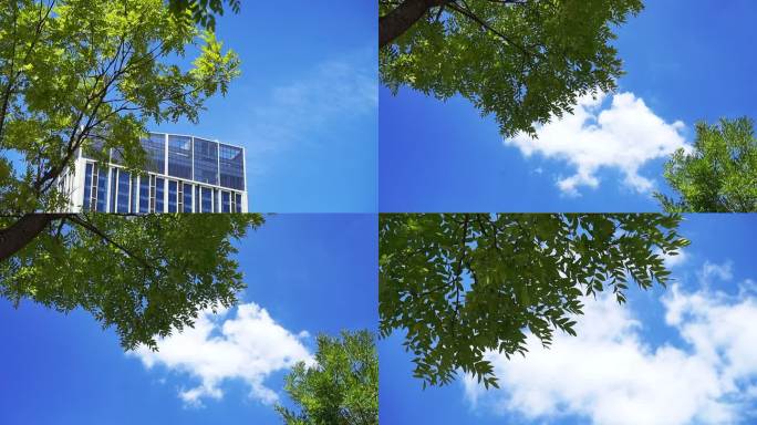 蓝天 云彩 树木 建筑视频合集