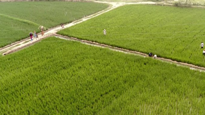 印度北方邦绿色田园农庄
