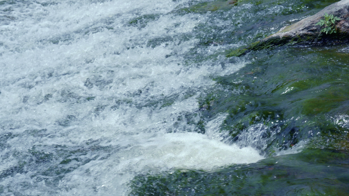 4K水流山泉白酒瀑布水源溪流自然风景纯净