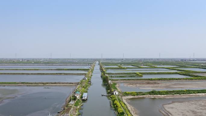 航拍肥沃的水稻秧田