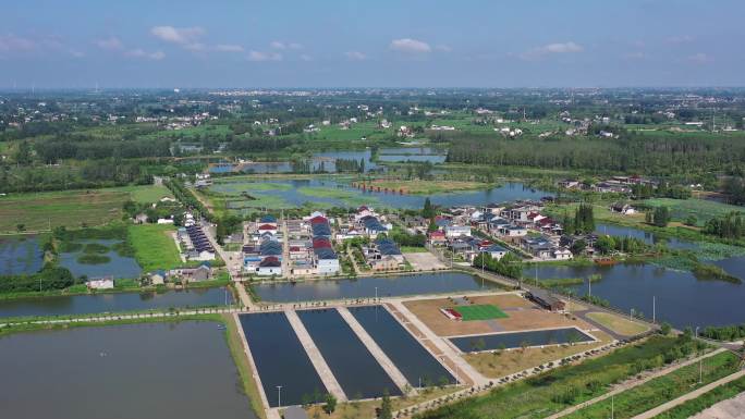 扬州沿湖村鸟瞰