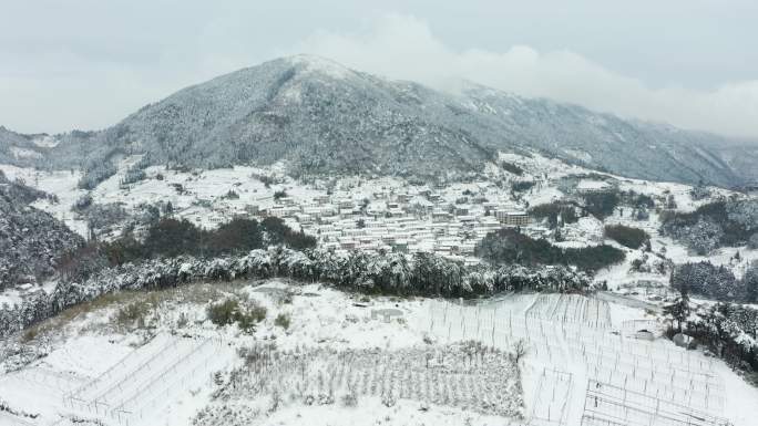 金华盘前村雪景风光4K航拍