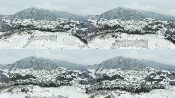 金华盘前村雪景风光4K航拍