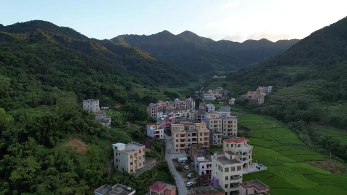 新农村水稻大山田野森林房屋马路乡村农田