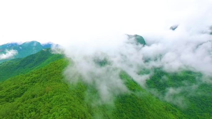 秦岭大山里云雾缭绕穿越云层航拍合集