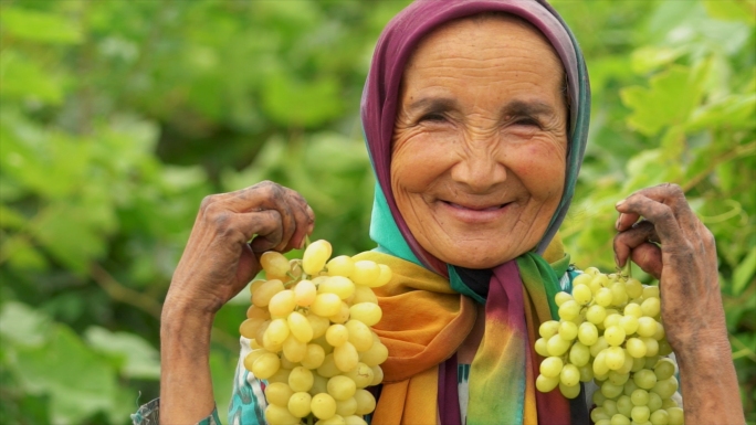 葡萄果农丰收喜悦的笑脸