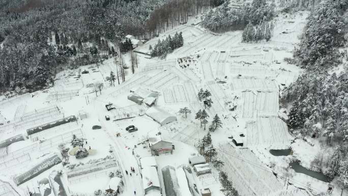 金华盘前村雪景风光4K航拍