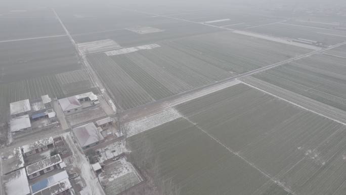 航拍从村庄到田野雪景丨Dlog丨原始素材