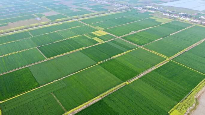 航拍乡村田园风光生态环境