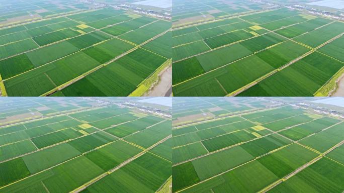 航拍乡村田园风光生态环境