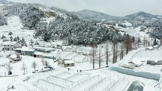 金华盘前村雪景风光4K航拍