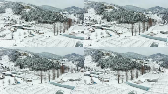 金华盘前村雪景风光4K航拍