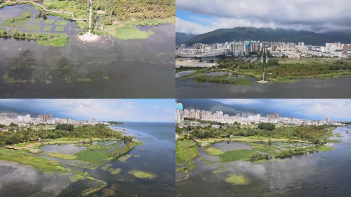 4K 大理洱海湿地航拍