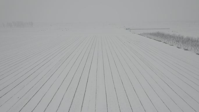 航拍大雪覆盖麦田丨Dlog丨原始素材