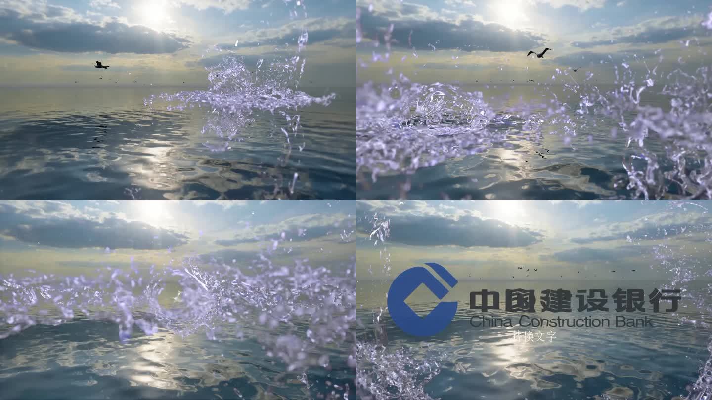 大海水花跳跃海鸟logo展示（无插件）