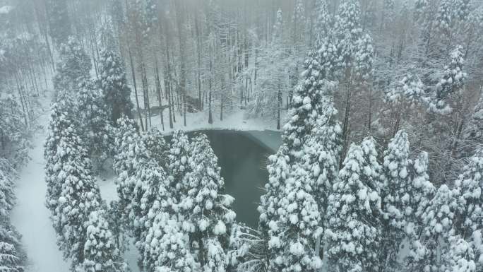 金华山森林露营基地小西湖林区冬季雪景航拍