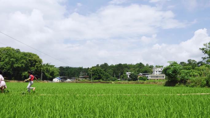 在田野上奔跑的农村小孩