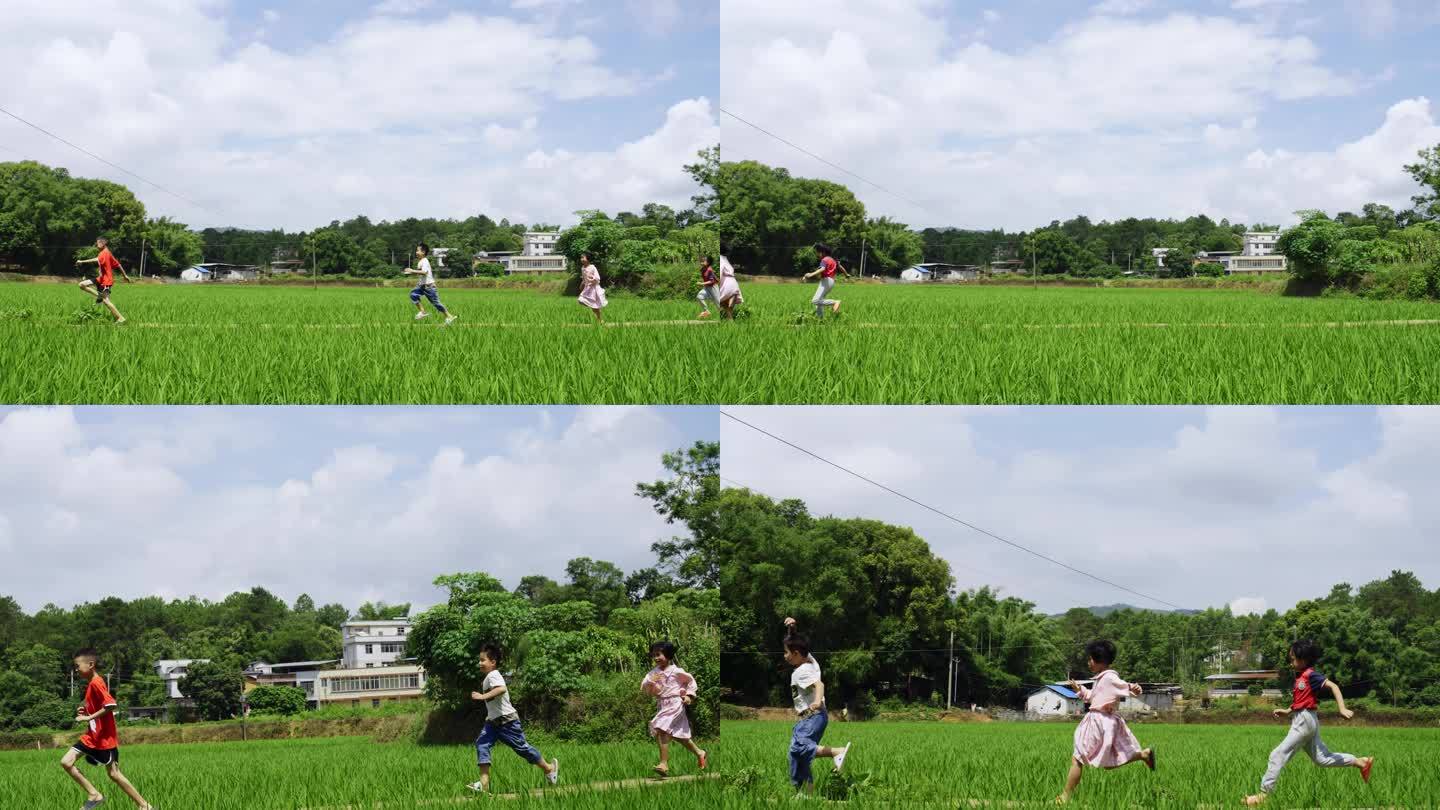 在田野上奔跑的农村小孩