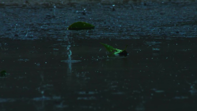 雨水滴落地面意境镜头