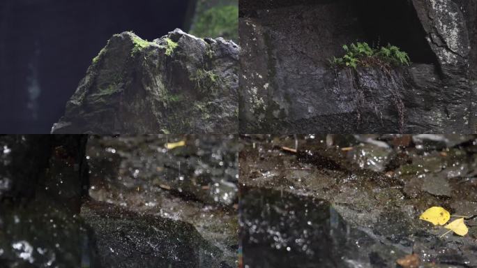 【4K】空镜山林顽强山石苔藓雨滴大雨