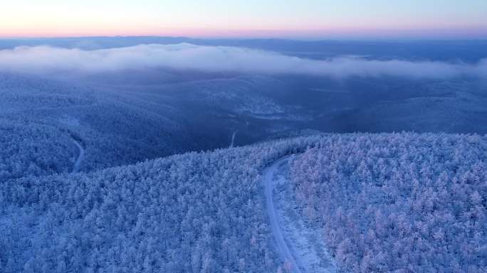 航拍冷空气笼罩的林海雪原