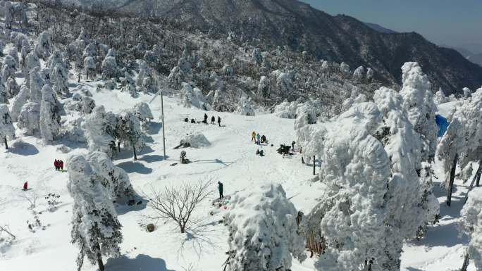 临安百丈岭雪景风光4K航拍