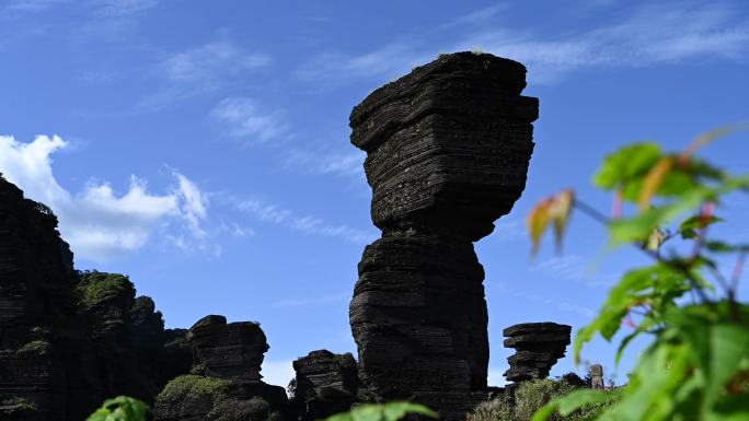 世界自然遗产梵净山蘑菇石