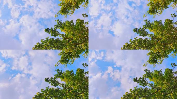 天空延时摄影自然风光片头片尾题材