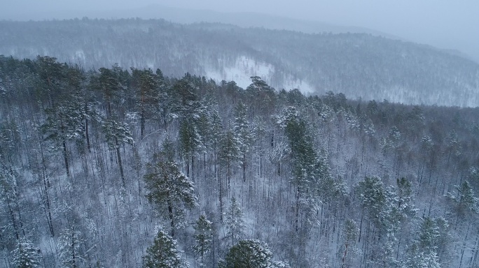 航拍大兴安岭春季降雪山林雾凇