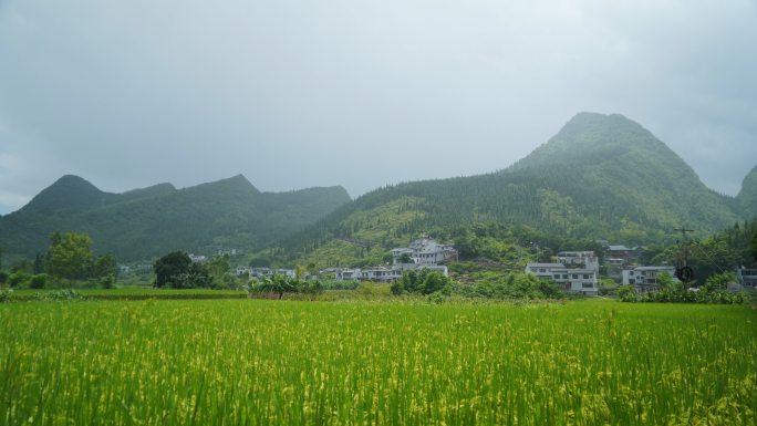 万峰林雨延时02