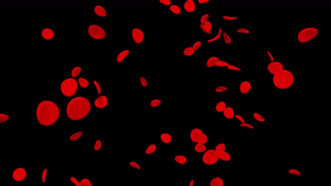 流动的红细胞透明通道