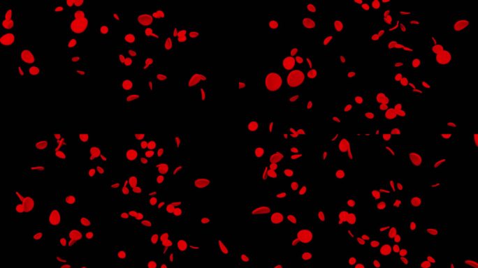 流动的红细胞透明通道