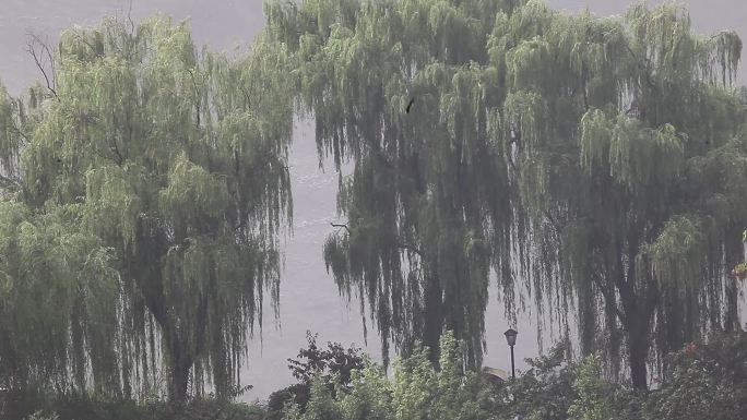 山东济南：城市河流暴风雨