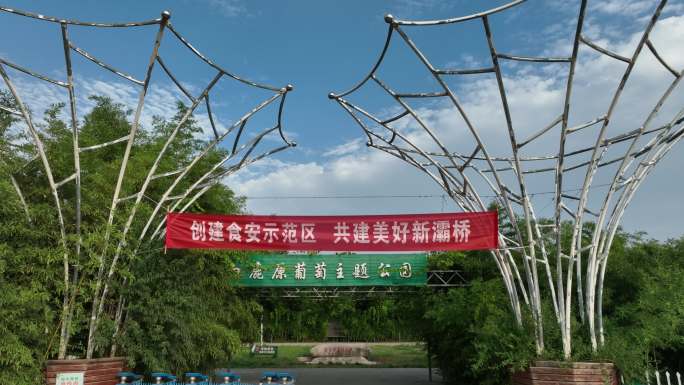 白鹿原葡萄主题公园灞桥葡萄示范基地航拍